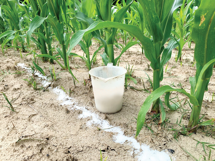 Agricultural best practices training session