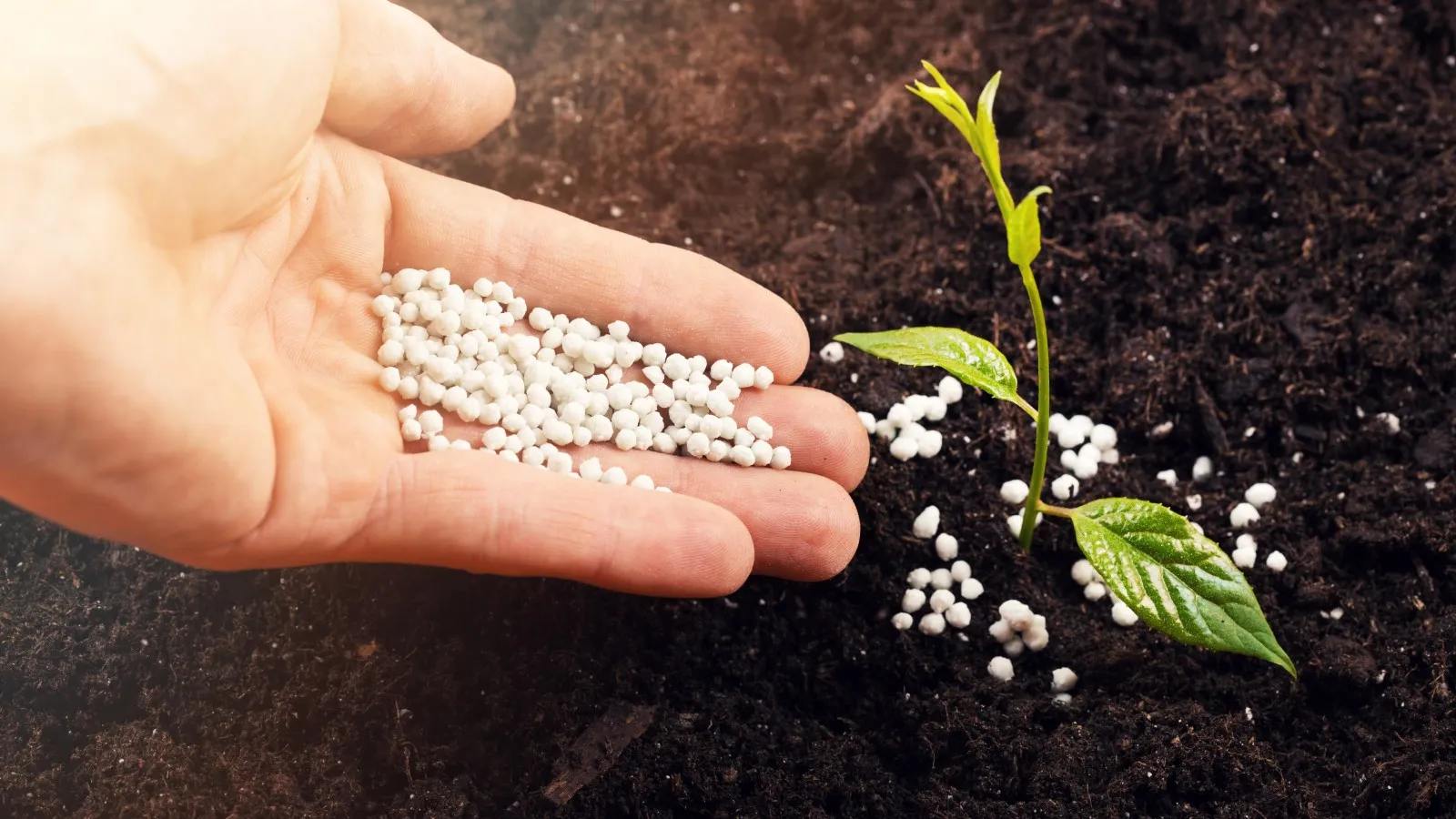 Fertilizer Application